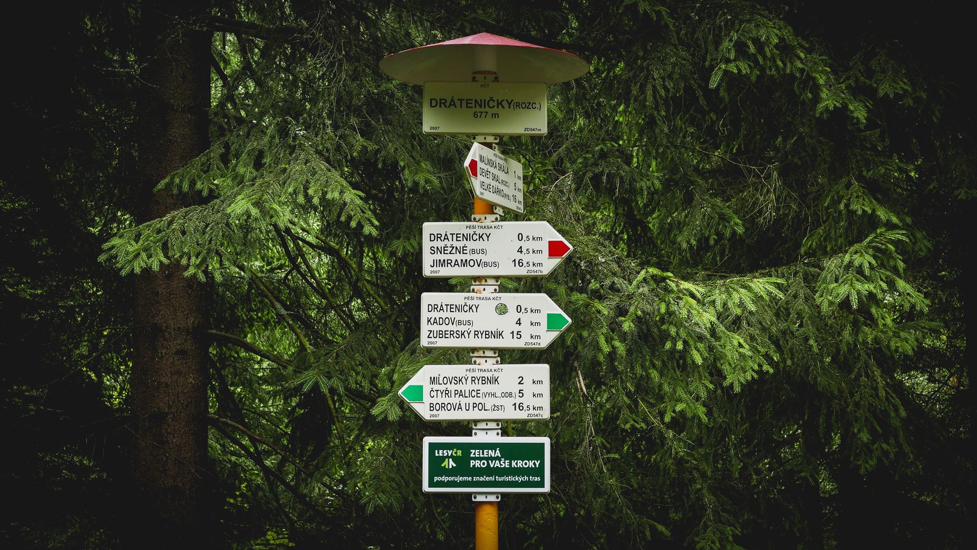 signpost